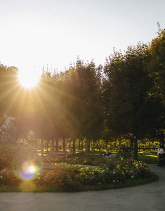 Volksgarten park in the first district of Vienna